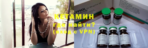 трава Аркадак