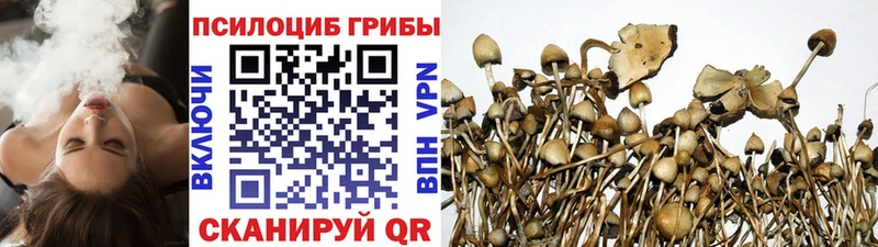 Галлюциногенные грибы Psilocybine cubensis  Купить  Сертолово 